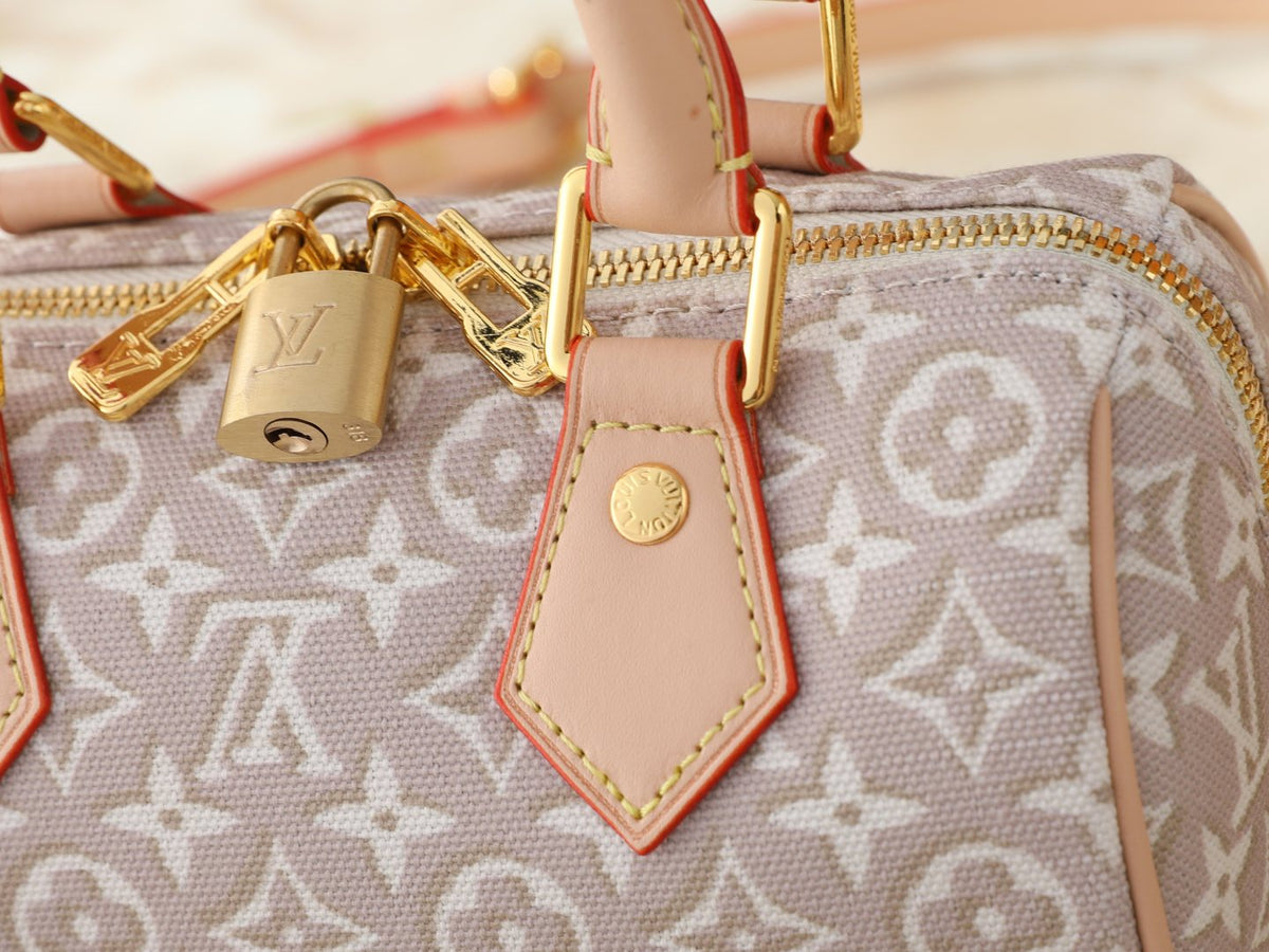 Louis Vuitton Speedy Bandoulière Monogram Emblème Handbag — detail