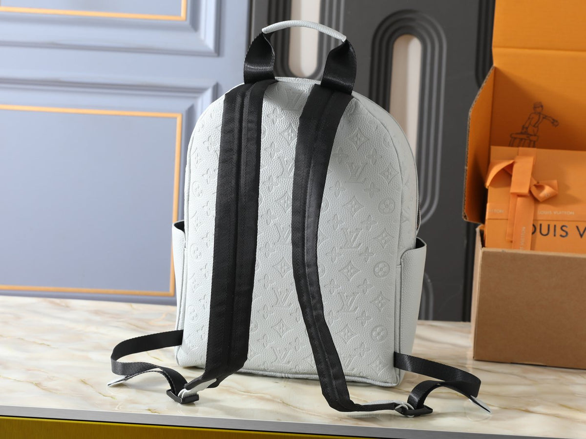 Louis Vuitton Discovery Domed Backpack — back
