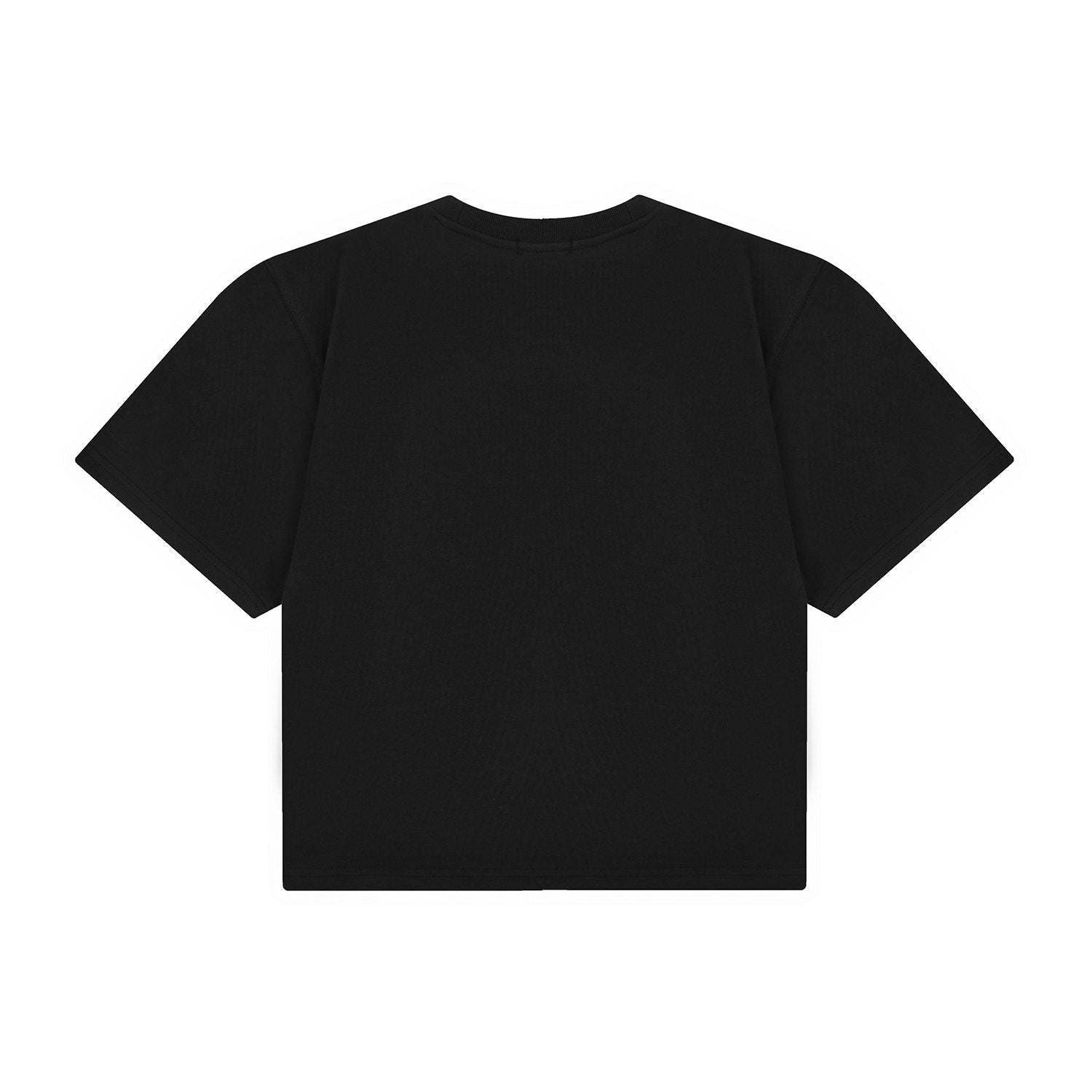 Test2-Ralph Lauren Women's Oversized Drop-Shoulder Pony Embroidered T-Shirt — back