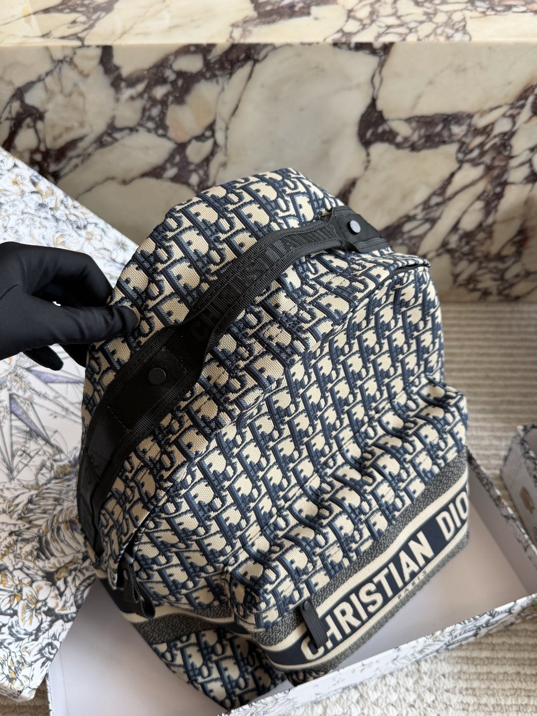 Dior Oblique Monogram Backpack — side