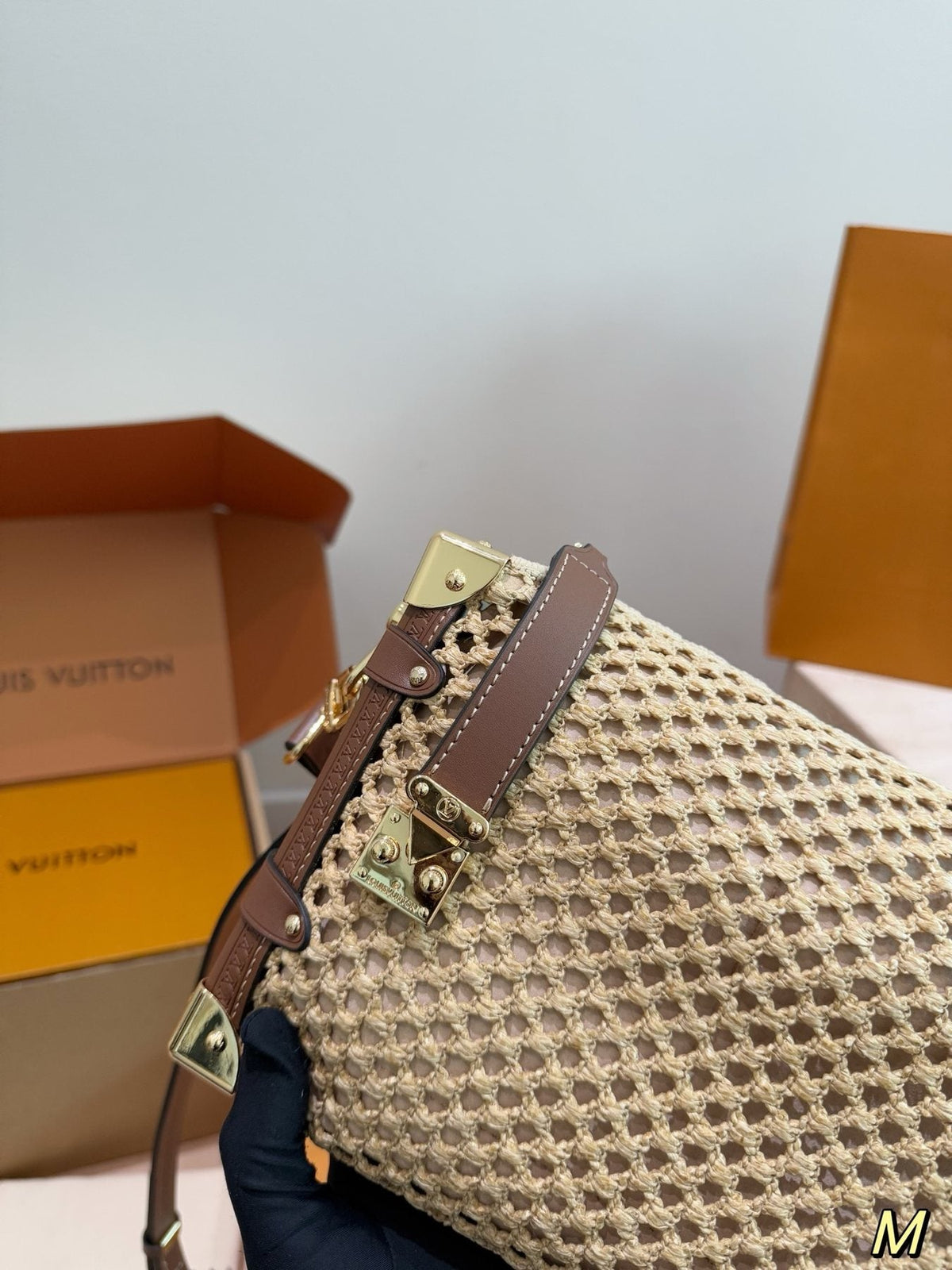 Louis Vuitton Woven Rectangular Top-Handle Bag — detail
